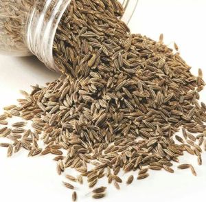 Brown Cumin Seeds