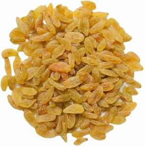 Dried Long Golden Raisin