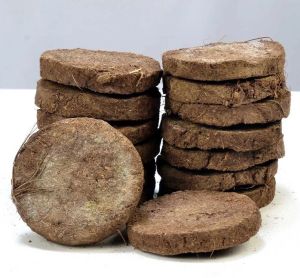 Cow Dung Cake
