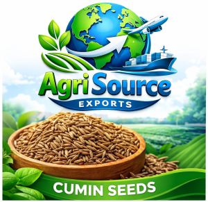 cumin seeds