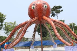 Octopus Rain Dance