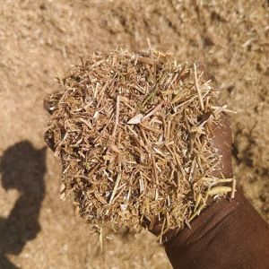 Chana Husk