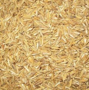 Wheat Husk