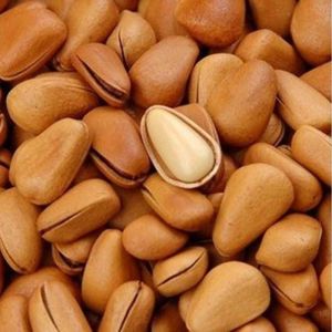 Brown Pine Nut