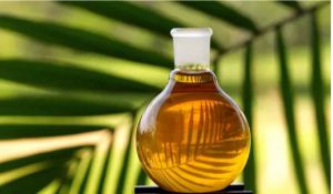 Palm Acid Oil