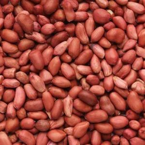 A Grade Groundnut Seed
