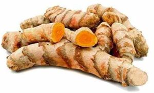 Raw Turmeric Finger