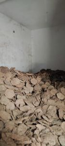 Dry Cow Dung Cake