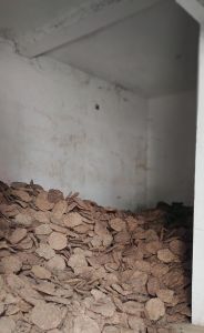 Dry Cow Dung Cake