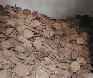Dry Cow Dung Cake