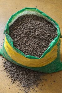 cow dung manure