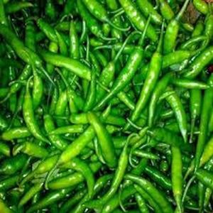 Fresh Green Chilli