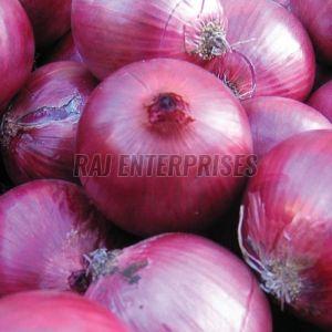 Fresh Pink Onion