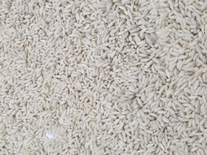 White Fortified Rice