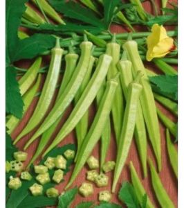Fresh Green Okra