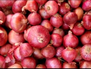 Fresh Red Onion