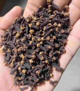 Brown Dried Clove