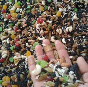 High Quality Mixed Dry Fruits