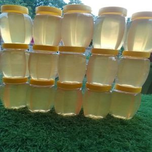 Kashmiri White Honey