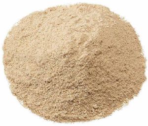 Boswellia Serrata Extract Powder