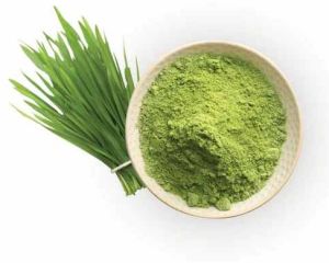 Dehydrated Green Wheat Grass Powder