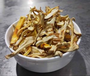 Dehydrated Jackfruit Flake