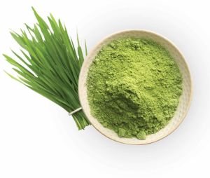 Dehydrated Wheatgrass Powder