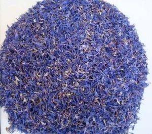 Dried Blue Corn Flower