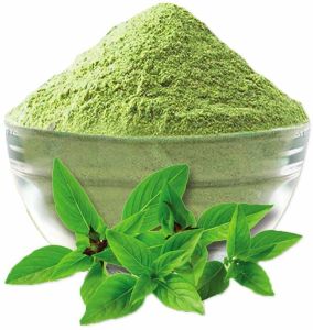 Dried Tulsi Leaves Powder