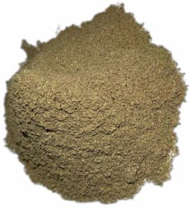 Giloy Stem Powder
