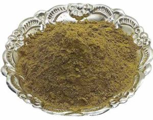 Gymnema Sylvestre Extract Powder