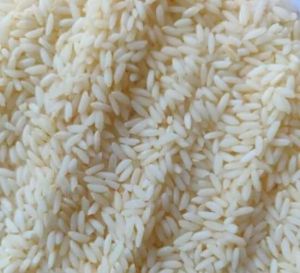 Premium Sona Masoori Rice