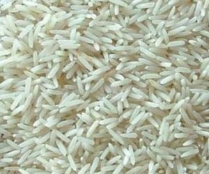 Short Grain HMT Rice