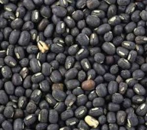 Whole Black Urad Dal