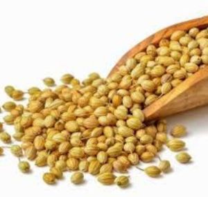 Whole Coriander Seeds