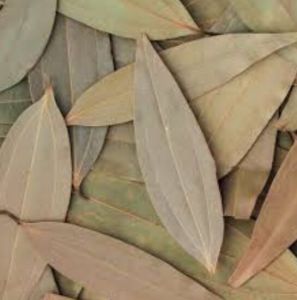 Whole Tej Patta Bay Leaf