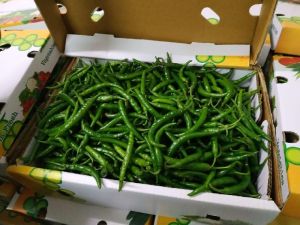 Fresh Green Chilli