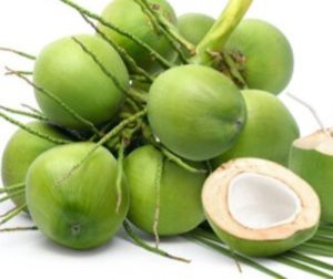 Farm Fresh Drinking Tender Coconut