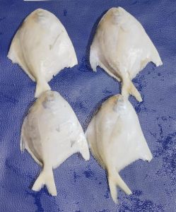 Fresh Pink Perch Fish