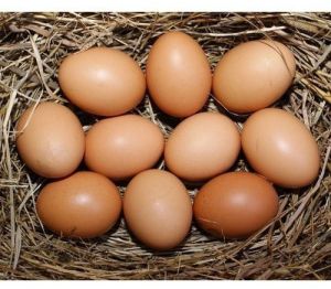 Farm Fresh Brown Eggs