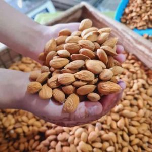 Fresh California Almonds