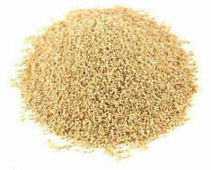 Poppy Seeds