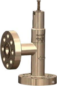 Alloy 20 Pressure Safety Valves