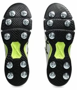 Asics Speed Menace Ff Mens Professional Cricket Spike Shoes