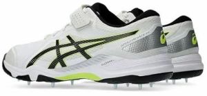 Asics Speed Menace Ff Mens Professional Cricket Spike Shoes