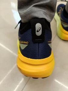 Asics Gel-Kayano 31 Mens Running Shoes