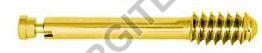 12.5mm DHS/DCS Compression Screw