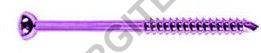 3.5mm Malleolar Screw