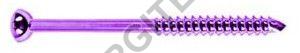 4.5mm Malleolar Screw