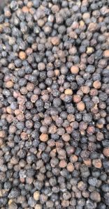 Black Pepper